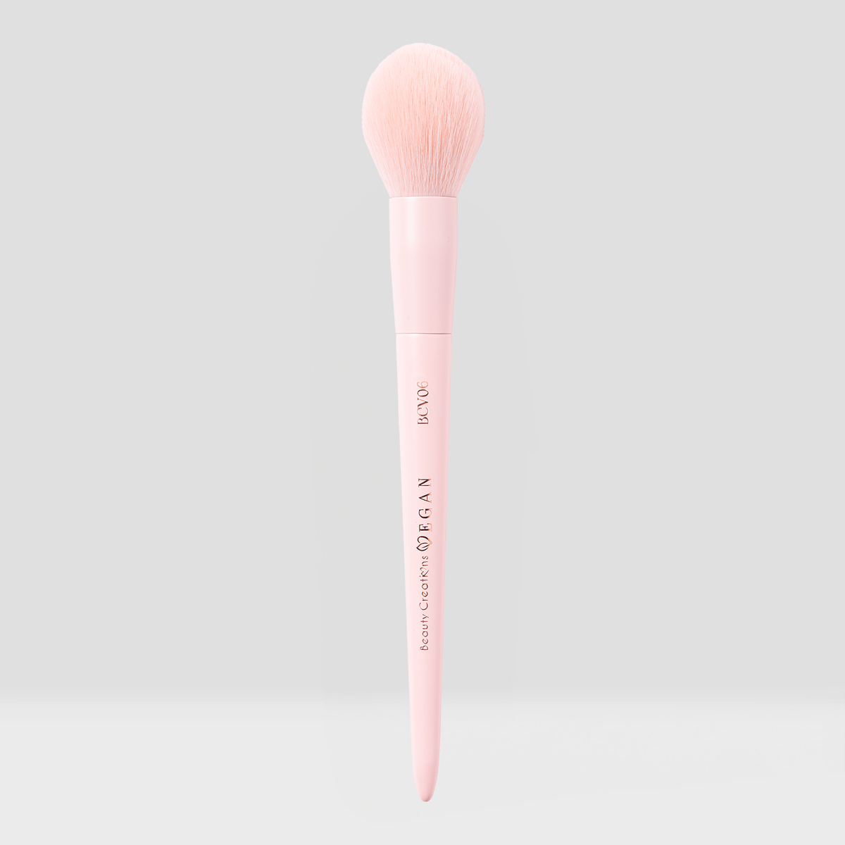 Vegan Brushes