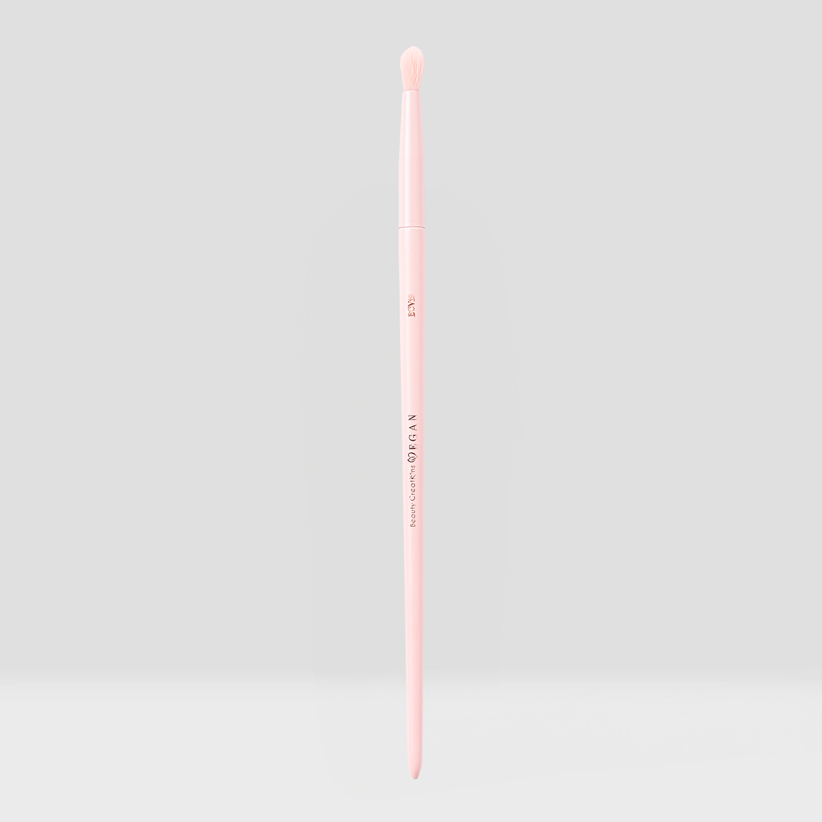 Vegan Brushes