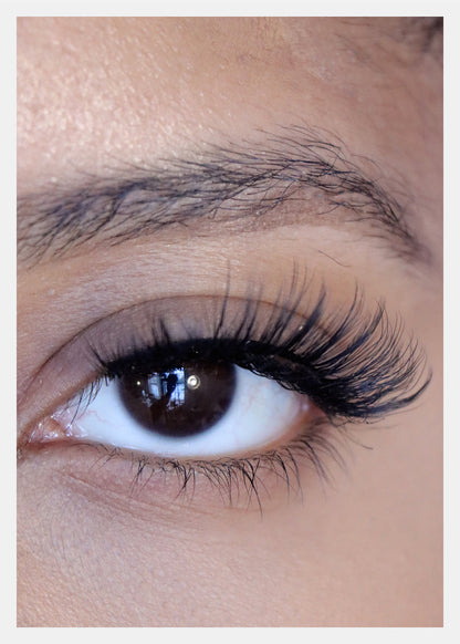 D-LUX Curl Premium Faux Mink Lashes - Diahann