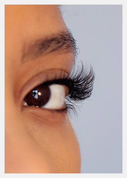 D-LUX Curl Premium Faux Mink Lashes - Diahann