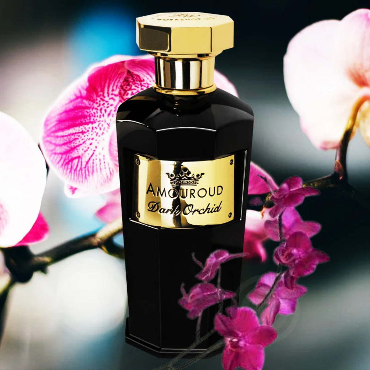 Dark Orchid Eau de Parfum