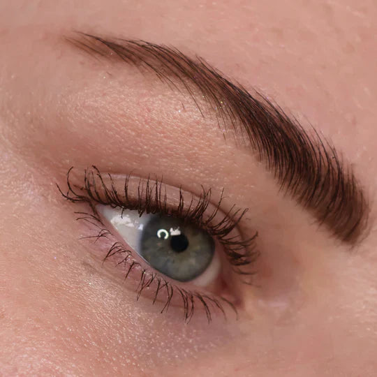 Glisten Cosmetics - Dark Brown Spectra Lash - Mascara
