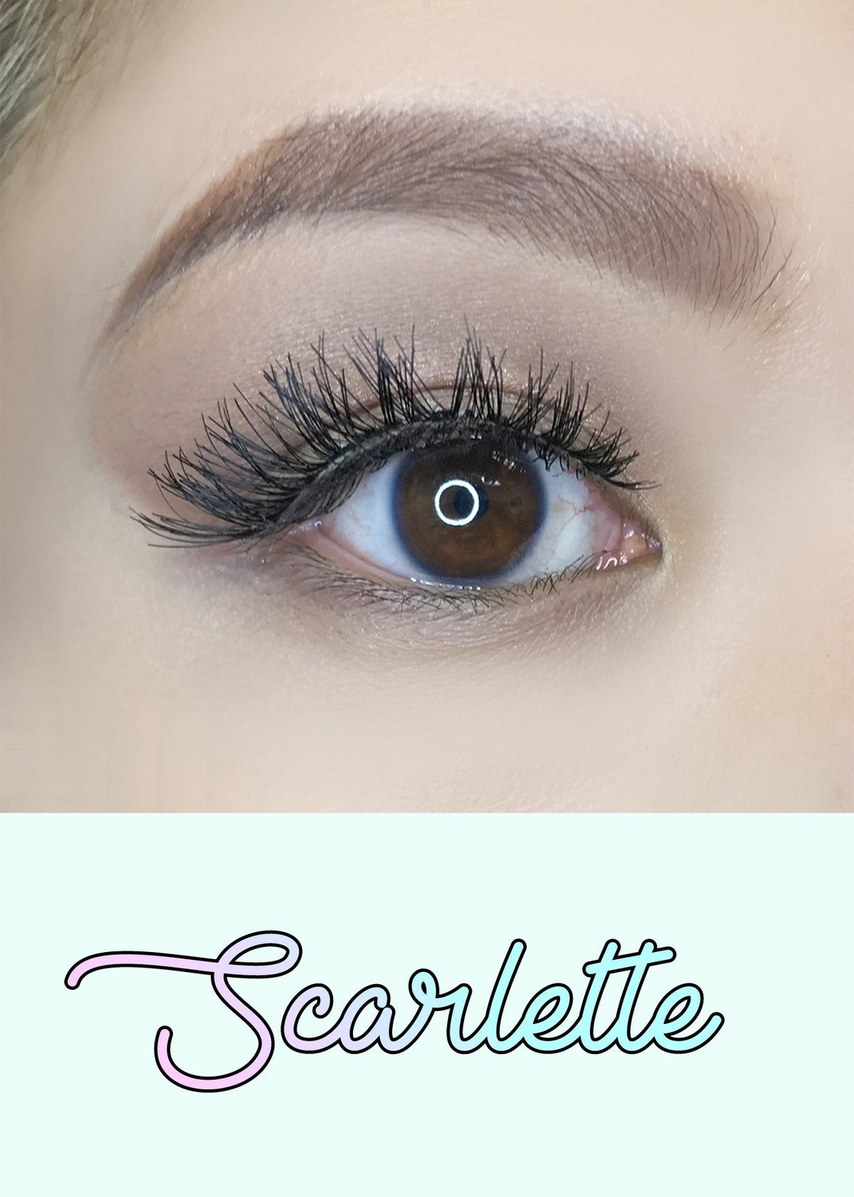 AOA Studio Eyelashes - Scarlette 6-Pack