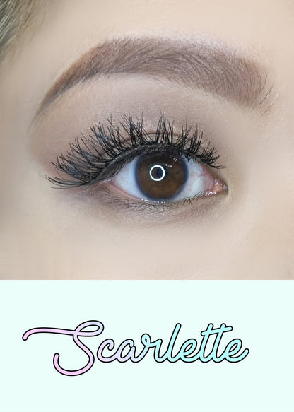 AOA Studio Eyelashes - Scarlette 6-Pack
