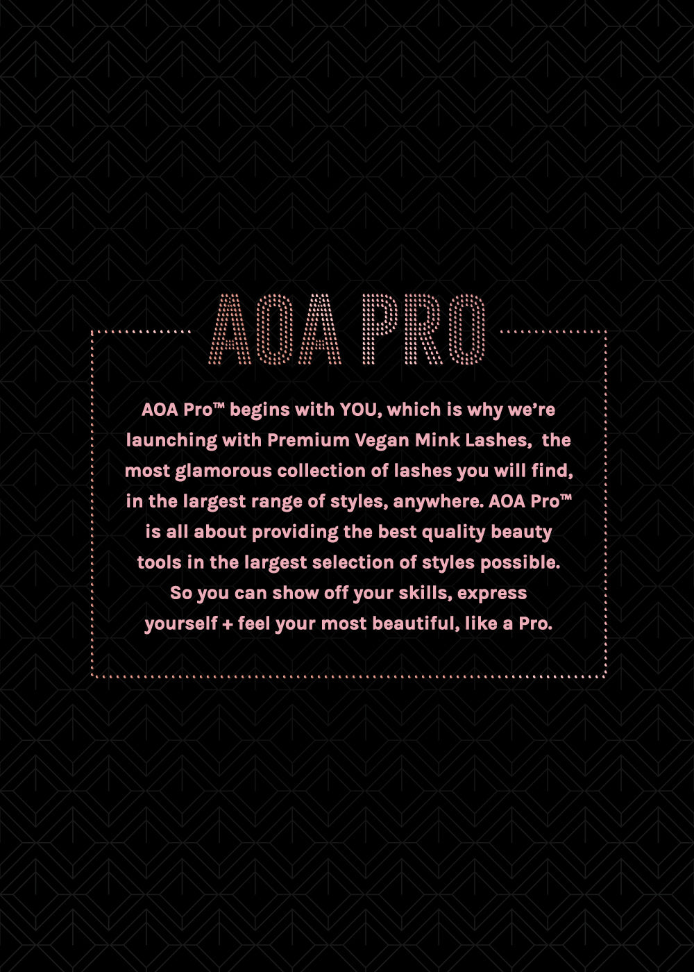 AOA Pro Magnetic Eyeshadow Palette - Black Small